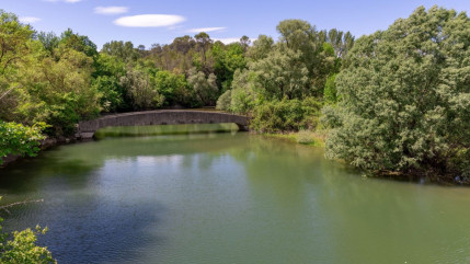 Montauroux : 200 hectares de forêts menacés autour du lac de Saint-Cassien
