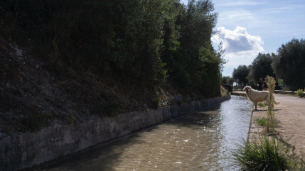 Nice : le canal de Gairaut remis en eau