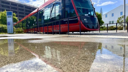 Nice : les transports en commun sont gratuits pendant la conférence des Nations Unies sur l'Océan Nice : les transports en commun sont gratuits pendant la conférence des Nations Unies sur l'Océan