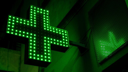 Rentrée 2025 : Nice accueillera sa première faculté de pharmacie