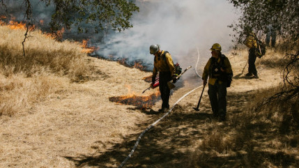 Risque très sévère d'incendie dans les Alpes Maritimes
