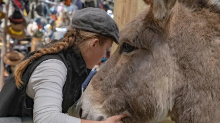 Salon de l'agriculture : les produits du terroir azur&eacute;en &agrave; l'honneur, des incidents signal&eacute;s en marge de l'&eacute;v&egrave;nement