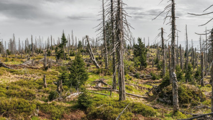 Sécheresse record : août 2025, un mois historique pour l’Europe et le pourtour méditerranéen Sécheresse record : août 2025, un mois historique pour l’Europe et le pourtour méditerranéen