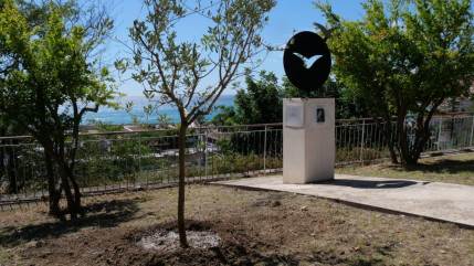 Vandalisme à Menton : l’olivier en hommage à Ilan Halimi a été arraché