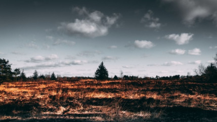 6 millions d’euros pour lutter contre les feux de forêts dans la région 6 millions d’euros pour lutter contre les feux de forêts dans la région
