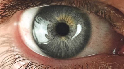 Illusion d'optique : que voyez-vous dans cette photo prise dans la neige ? Illusion d'optique : que voyez-vous dans cette photo prise dans la neige ?