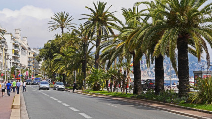 Semaine de la courtoisie : les routes azuréennes à rude épreuve