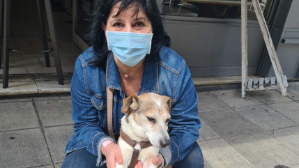 Nice fait tout pour ses toutous !