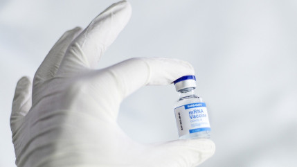 Un label pour les commerçants et restaurateurs vaccinés à Nice