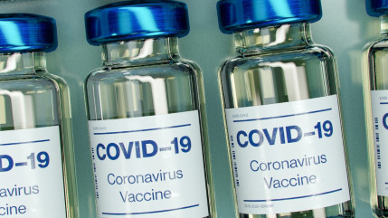 Vaccin : bientôt une troisième dose ? Vaccin : bientôt une troisième dose ?