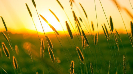 5 départements toujours en alerte orange aux fortes chaleurs 5 départements toujours en alerte orange aux fortes chaleurs