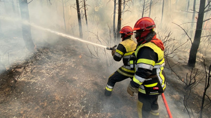 Incendie du massif des Maures : une journée décisive Incendie du massif des Maures : une journée décisive