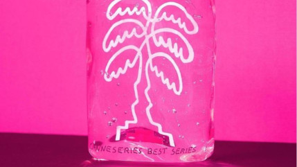 La série Mister 8 sacrée en clôture de Canneseries