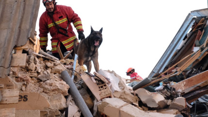Une deuxième victime dans le Var