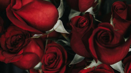 Les secrets des fleuristes pour la Saint Valentin