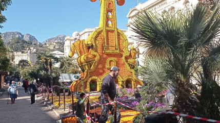 J-1 avant la fête du citron, les artisans se pressent