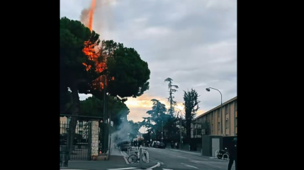 Blocages de lyc&eacute;es dans les Alpes-Maritimes : 40 interpellations ce mercredi, des renforts policiers d&eacute;ploy&eacute;s jeudi