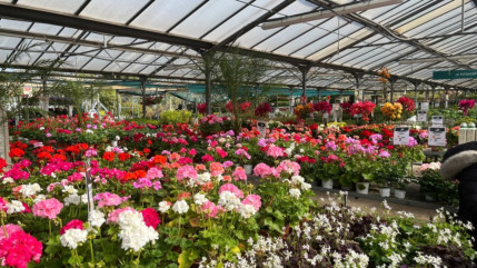 C'est la semaine du jardinage