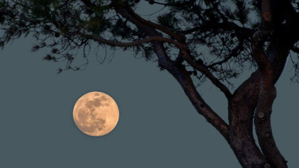 Ce 13 juillet, le ciel sera illuminé par une nouvelle Super Lune !