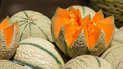 Chaleur : les conseils des maraichers niçois pour bien choisir ses légumes