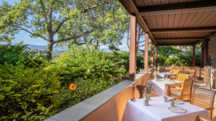 Christophe Schmitt au Faventia : "cette étoile il faut la renouveler chaque année"