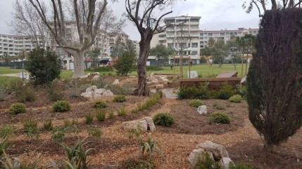 Festival de la Côte d'Azur : les dessous du métier de paysagiste
