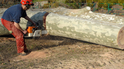 Grasse : 60 000 à 80 000 euros de matériel volés aux espaces verts de la Ville Grasse : 60 000 à 80 000 euros de matériel volés aux espaces verts de la Ville