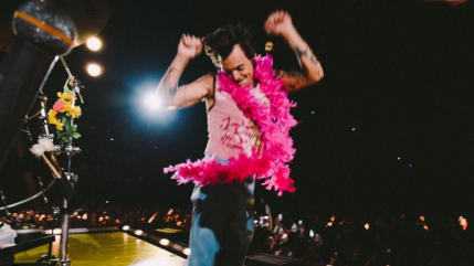 Harry Styles : Pourquoi il a refusé de jouer dans "La Petite Sirène" ?