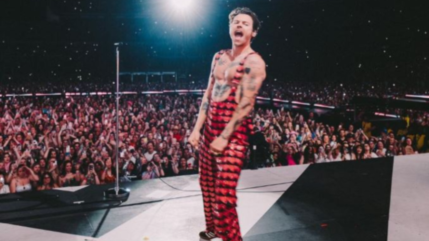 Harry Styles : une de ses fans condamnée pour harcèlement