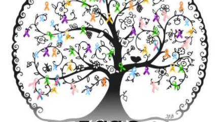 L'association Asso à la recherche de nouveaux locaux à Cannes L'association Asso à la recherche de nouveaux locaux à Cannes