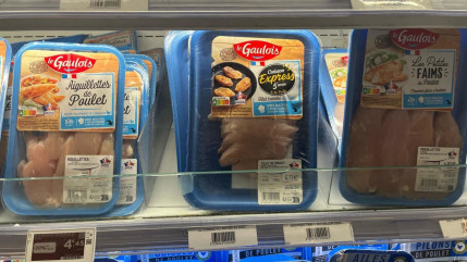 L124 dénonce des poulets génétiquement modifiés par le groupe Le Gaulois L124 dénonce des poulets génétiquement modifiés par le groupe Le Gaulois