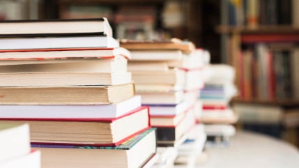 La librairie Les Parleuses rouvrira progressivement &agrave; Nice &agrave; partir du 11 ao&ucirc;t
