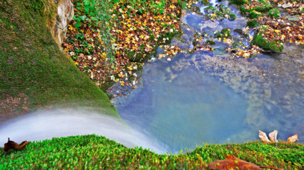 La qualité des cours d'eau de la région s'est améliorée