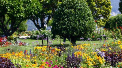 Label villes et villages fleuris : faire avec le manque d'eau