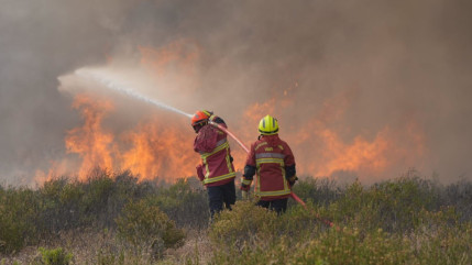 Le premier gros incendie de l'année dans le Var Le premier gros incendie de l'année dans le Var
