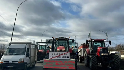Les agriculteurs prévoient de manifester dans les Alpes-Maritimes cette semaine Les agriculteurs prévoient de manifester dans les Alpes-Maritimes cette semaine
