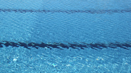 Les enfants portés disparus à Antibes retrouvés morts dans une piscine voisine