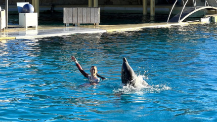 Marineland : Sea Shepherd identifie plusieurs sites en Méditerranée pour créer un sanctuaire marin Marineland : Sea Shepherd identifie plusieurs sites en Méditerranée pour créer un sanctuaire marin
