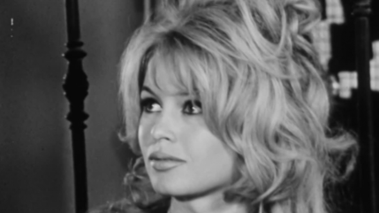 Nice c&eacute;l&egrave;bre Brigitte Bardot pendant trois jours : cin&eacute;ma, conf&eacute;rence et plage pour chiens