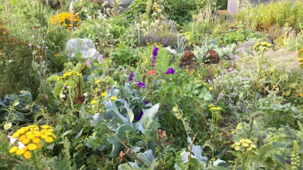 Nice : un atelier gratuit pour jardiner avec la nature