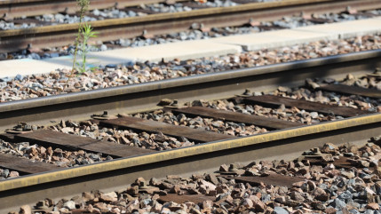 Nice : un homme mortellement happ&eacute; par un train pr&egrave;s de Pont-Michel