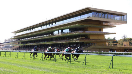 P&eacute;gomas : il remporte plus de 155 000 euros au Quint&eacute;+