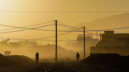 Séisme en Afghanistan : peut-on encore trouver des survivants ?