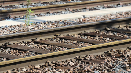 Une personne sur les voies &agrave; Mandelieu interrompt bri&egrave;vement le trafic des TER